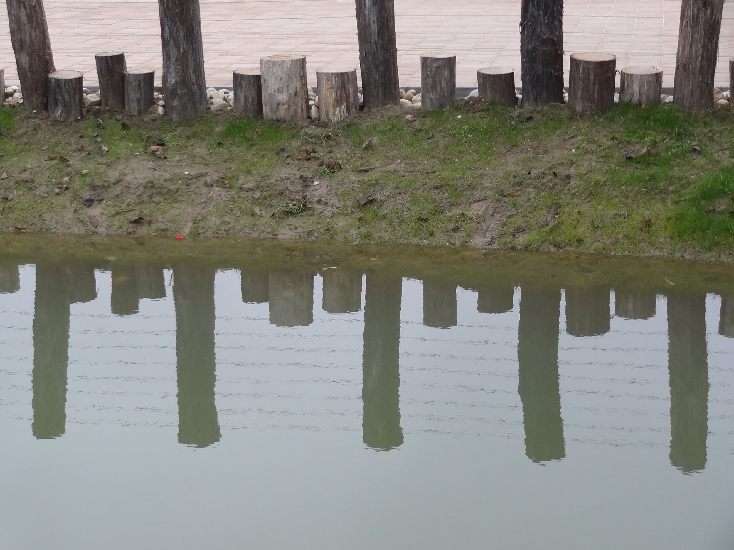 bruto velika polana park voda prekmurje storks štorklje