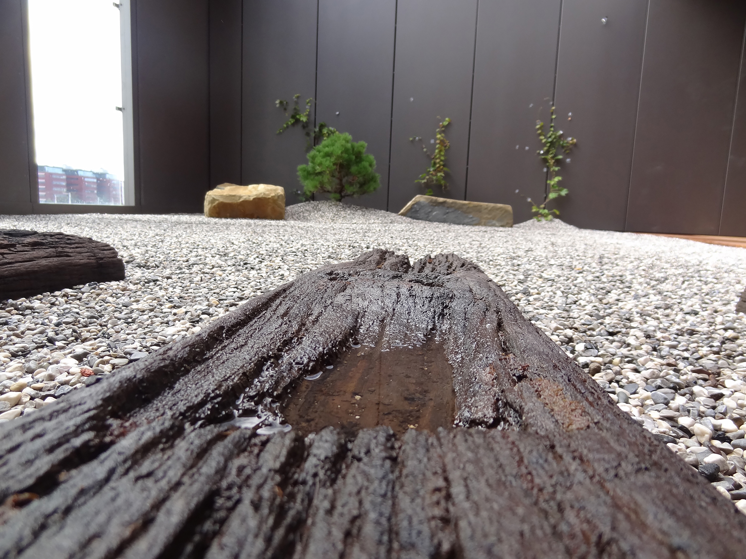 situla atrij japonski vrt atrium japanese garden zen