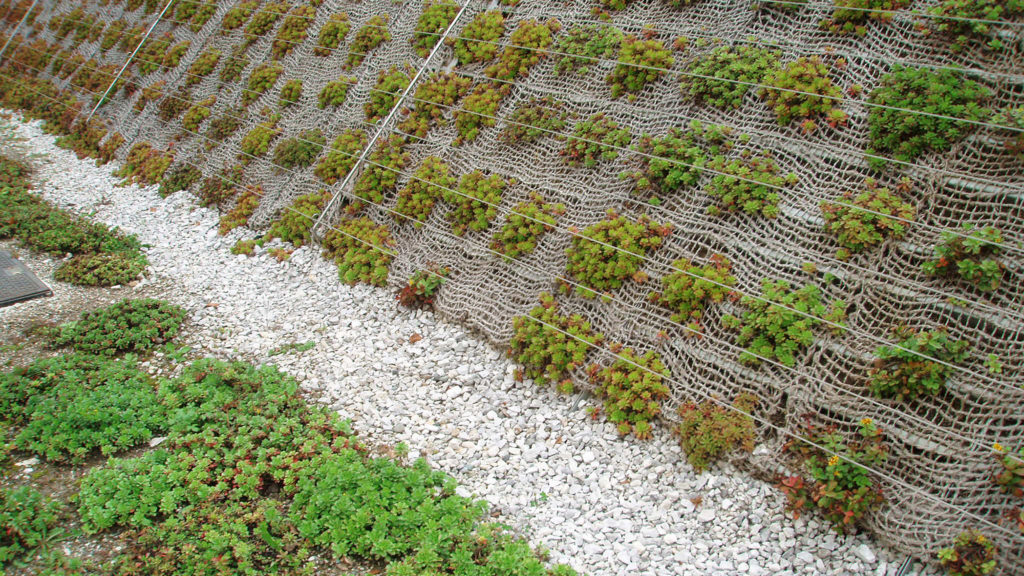 bruto olimia sotelia podčetrtek hotel green roof zelena streha